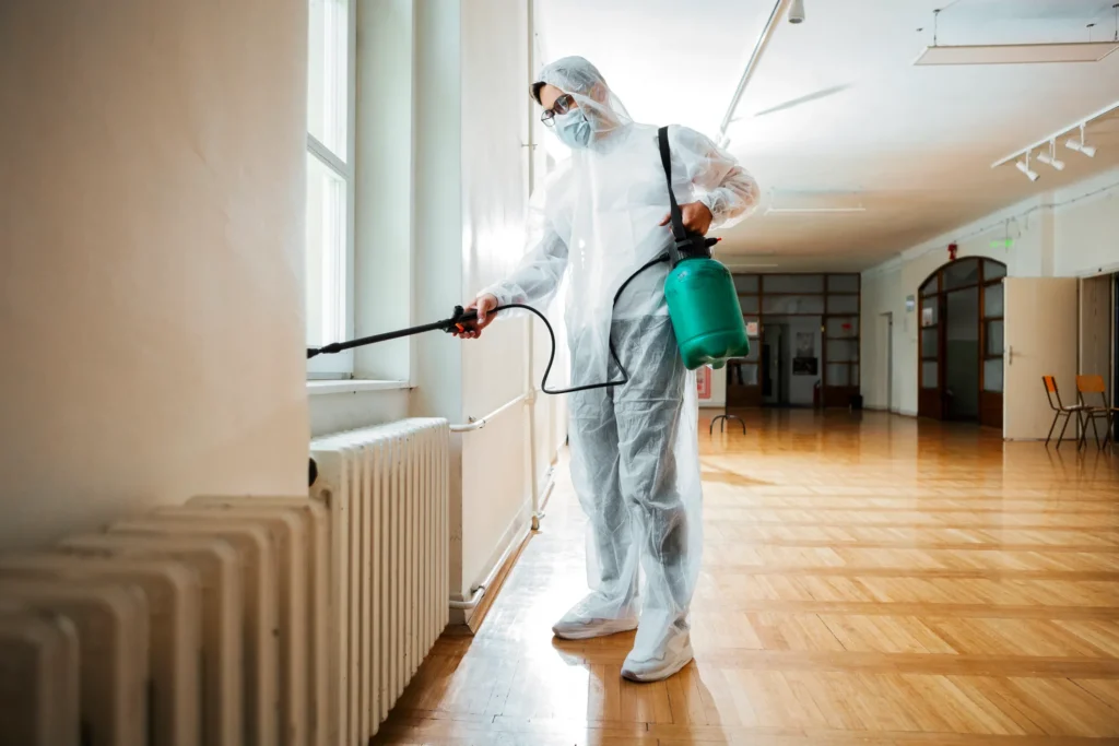 How Our Process Works - El Cerrito Best Pest Pros | El Cerrito, CA | 510-588-5889