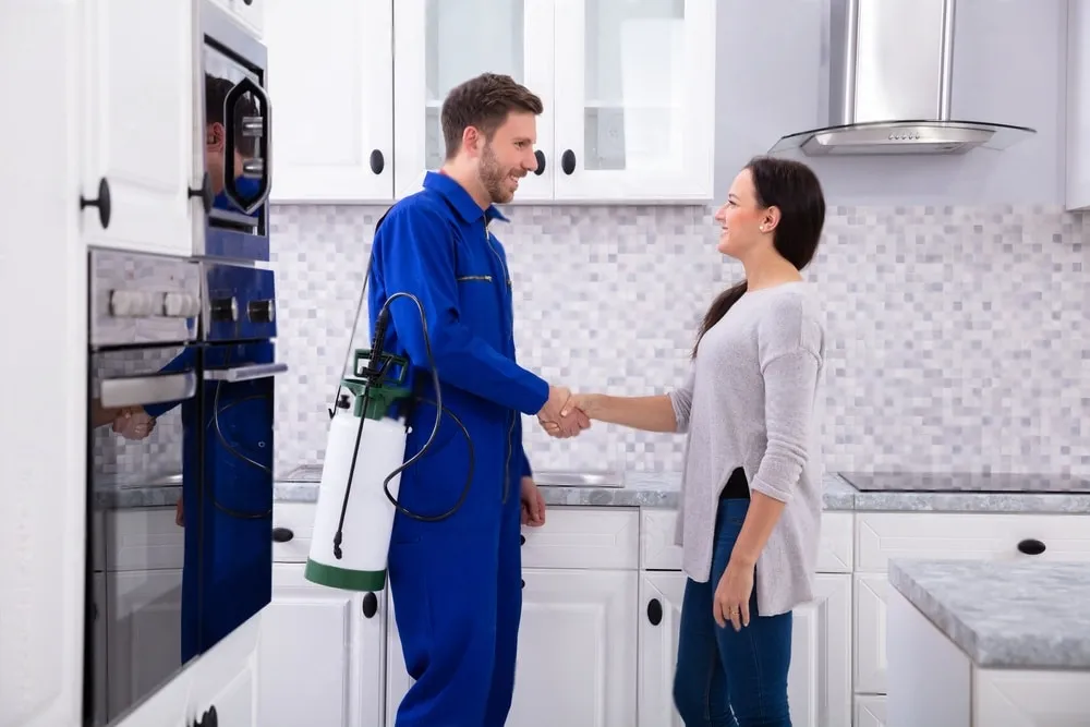 Pest Control Experts - El Cerrito Best Pest Pros | El Cerrito, CA | 510-588-5889